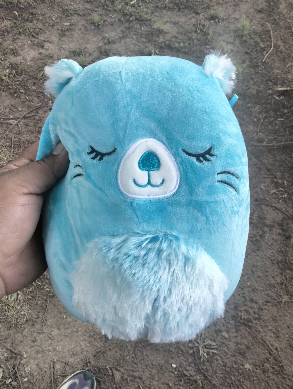 Bara 8" Squishmallows Beaver Kelly Toy stuffed animal plush turquoise blue